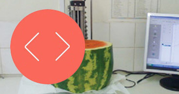Testure analysis testing