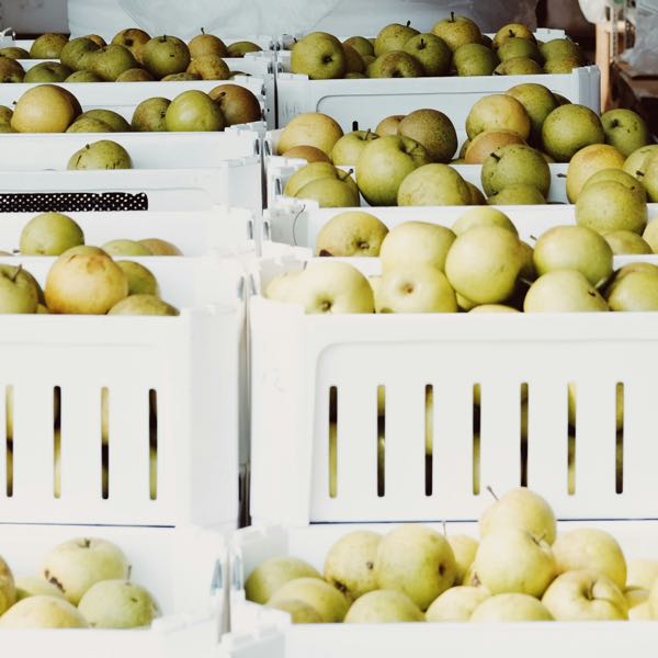 Pear packaging