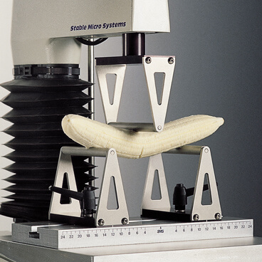 Large Three Point Bend Rig