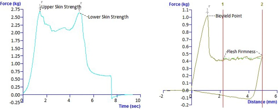 Typical texture analysis graph