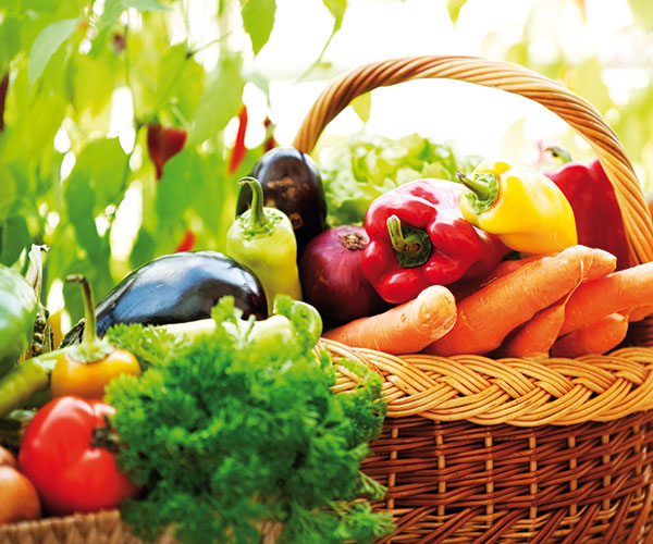 PBasket of vegetables